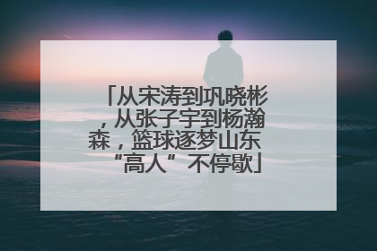 从宋涛到巩晓彬，从张子宇到杨瀚森，篮球逐梦山东“高人”不停歇