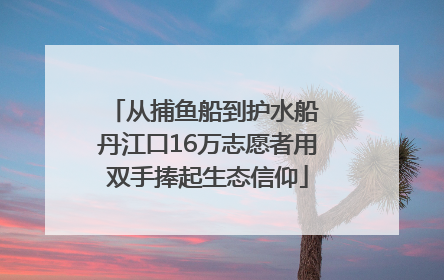 从捕鱼船到护水船 丹江口16万志愿者用双手捧起生态信仰