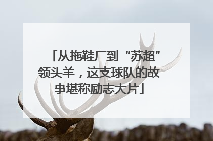 从拖鞋厂到“苏超”领头羊，这支球队的故事堪称励志大片