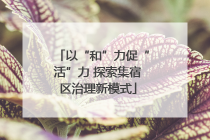 以“和”力促“活”力 探索集宿区治理新模式