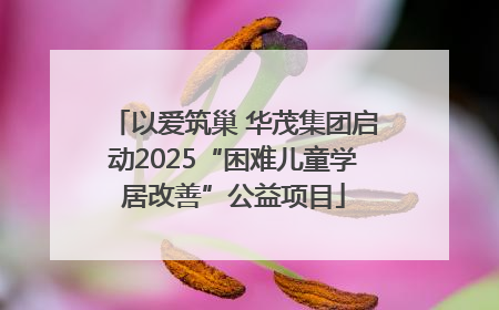 以爱筑巢 华茂集团启动2025“困难儿童学居改善”公益项目