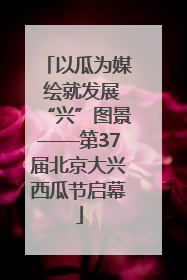 以瓜为媒 绘就发展“兴”图景——第37届北京大兴西瓜节启幕