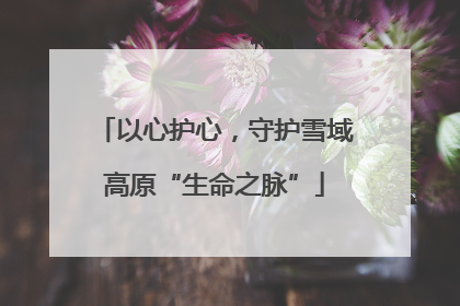 以心护心，守护雪域高原“生命之脉”