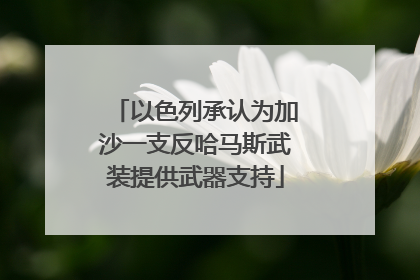以色列承认为加沙一支反哈马斯武装提供武器支持