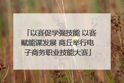 以赛促学强技能 以赛赋能谋发展 商丘举行电子商务职业技能大赛