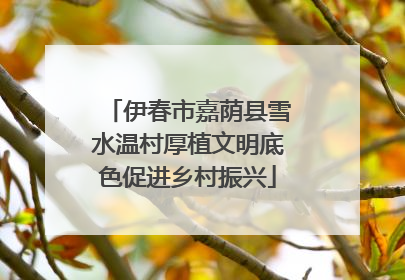 伊春市嘉荫县雪水温村厚植文明底色促进乡村振兴
