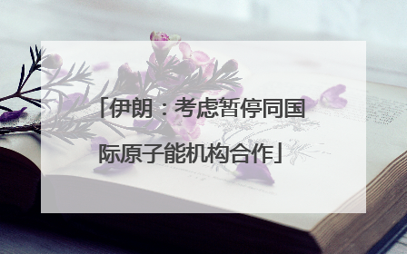 伊朗：考虑暂停同国际原子能机构合作