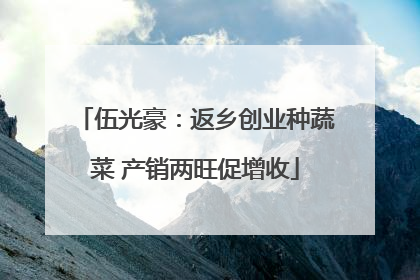 伍光豪：返乡创业种蔬菜 产销两旺促增收