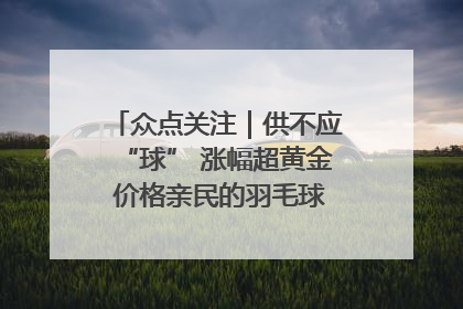 众点关注｜供不应“球” 涨幅超黄金 价格亲民的羽毛球为何身价飞涨？