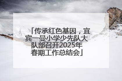 传承红色基因，宜宾一曼小学少先队大队部召开2025年春期工作总结会