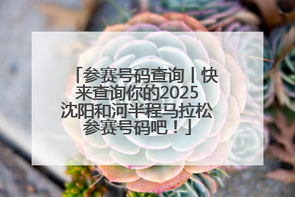 参赛号码查询丨快来查询你的2025沈阳和河半程马拉松参赛号码吧！
