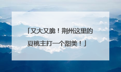 又大又脆！荆州这里的夏桃主打一个甜美！
