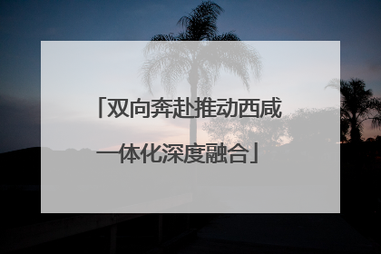 双向奔赴推动西咸一体化深度融合
