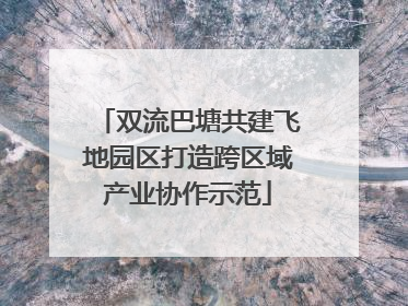 双流巴塘共建飞地园区打造跨区域产业协作示范