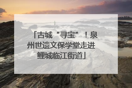 古城“寻宝”！泉州世遗文保学堂走进鲤城临江街道