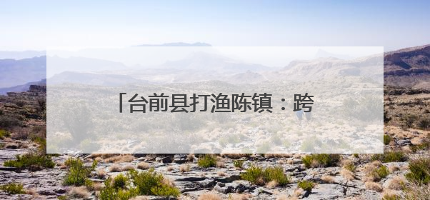台前县打渔陈镇：跨省联建架通“连心桥” 惠及民生促振兴