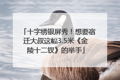 十字绣银屏秀！想要宿迁大叔这幅3.5米《金陵十二钗》的举手