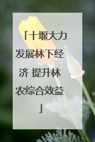 十堰大力发展林下经济 提升林农综合效益