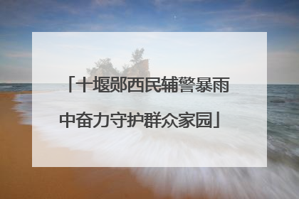 十堰郧西民辅警暴雨中奋力守护群众家园