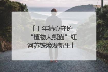 十年精心守护 “植物大熊猫”红河苏铁焕发新生