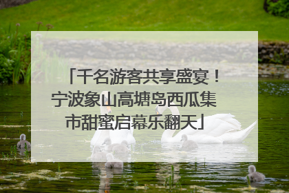 千名游客共享盛宴！宁波象山高塘岛西瓜集市甜蜜启幕乐翻天