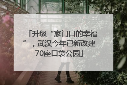 升级“家门口的幸福”，武汉今年已新改建70座口袋公园