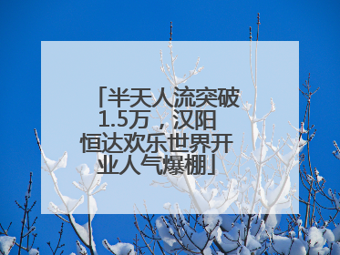 半天人流突破1.5万，汉阳恒达欢乐世界开业人气爆棚