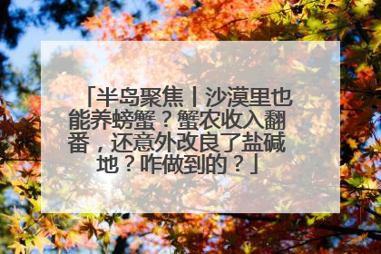 半岛聚焦丨沙漠里也能养螃蟹？蟹农收入翻番，还意外改良了盐碱地？咋做到的？