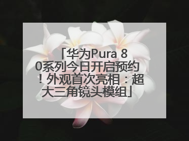 华为Pura 80系列今日开启预约！外观首次亮相：超大三角镜头模组