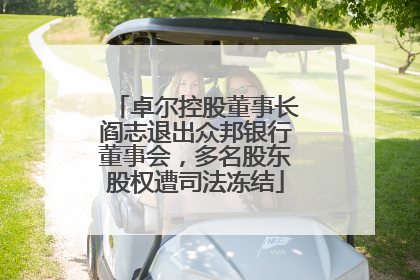 卓尔控股董事长阎志退出众邦银行董事会，多名股东股权遭司法冻结