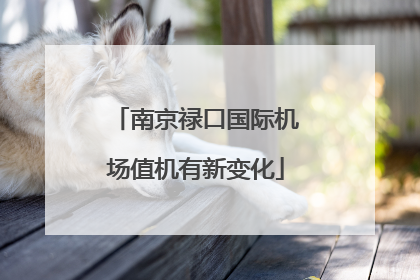 南京禄口国际机场值机有新变化