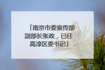 南京市委宣传部副部长张政，已任高淳区委书记