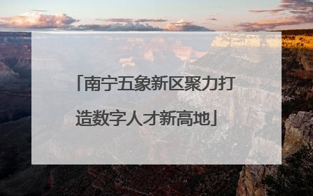 南宁五象新区聚力打造数字人才新高地