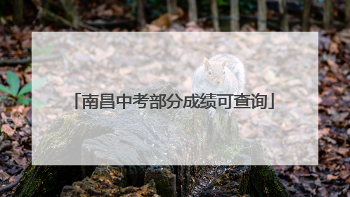 南昌中考部分成绩可查询
