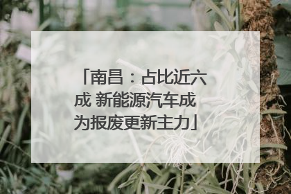 南昌：占比近六成 新能源汽车成为报废更新主力