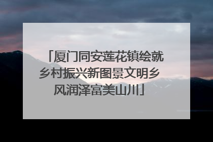 厦门同安莲花镇绘就乡村振兴新图景文明乡风润泽富美山川