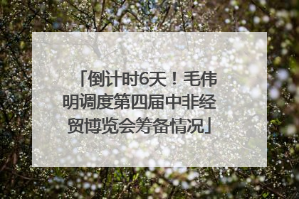倒计时6天！毛伟明调度第四届中非经贸博览会筹备情况
