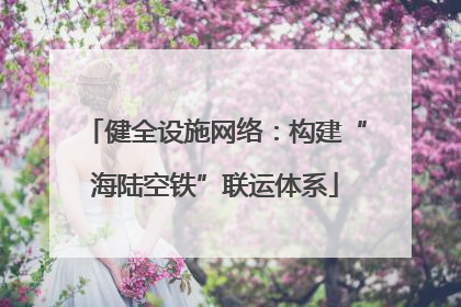 健全设施网络：构建“海陆空铁”联运体系
