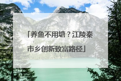 养鱼不用塘？江陵秦市乡创新致富路径