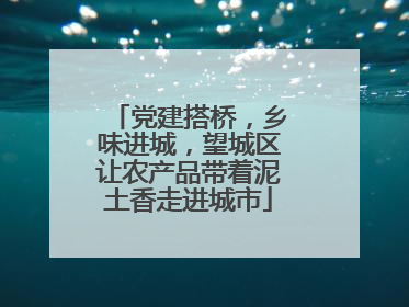党建搭桥，乡味进城，望城区让农产品带着泥土香走进城市