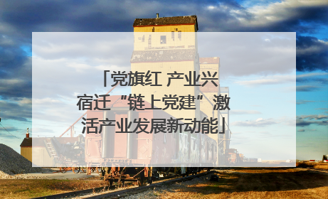 党旗红 产业兴 宿迁“链上党建”激活产业发展新动能