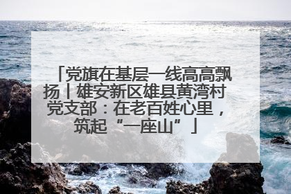 党旗在基层一线高高飘扬丨雄安新区雄县黄湾村党支部：在老百姓心里，筑起“一座山”