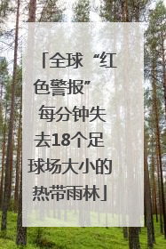 全球“红色警报”  每分钟失去18个足球场大小的热带雨林