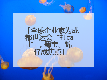 全球企业家为成都世运会“打call”，蜀宝、锦仔成焦点