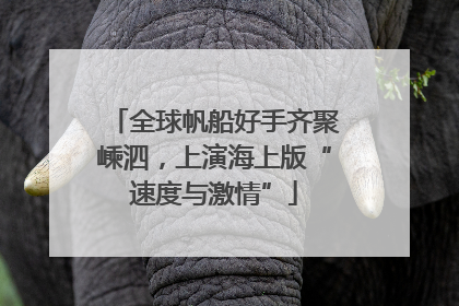 全球帆船好手齐聚嵊泗，上演海上版“速度与激情”