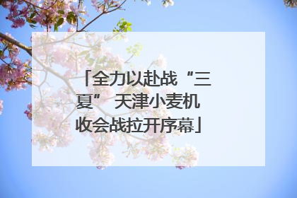 全力以赴战“三夏” 天津小麦机收会战拉开序幕