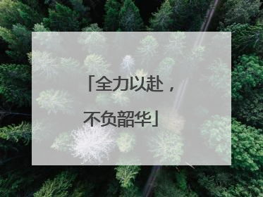 全力以赴，不负韶华