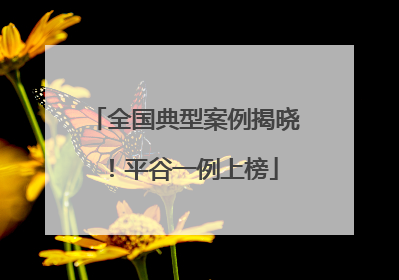 全国典型案例揭晓！平谷一例上榜