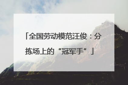 全国劳动模范汪俊：分拣场上的“冠军手”