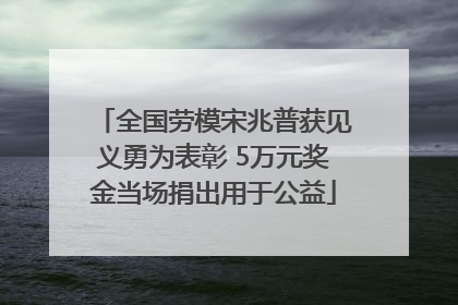全国劳模宋兆普获见义勇为表彰 5万元奖金当场捐出用于公益
